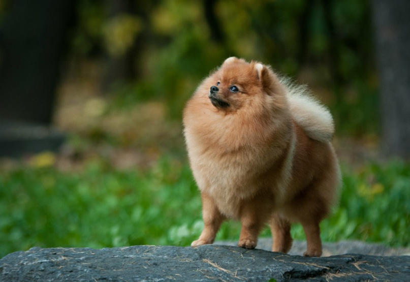 Мария Чернышева | Москва