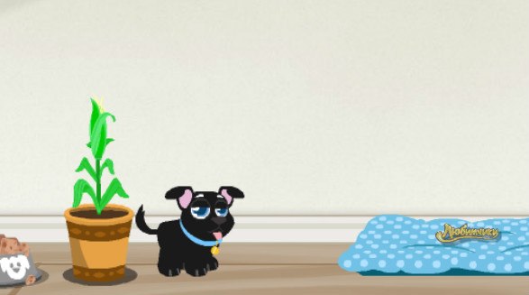 Алексей Бакаев | Касли