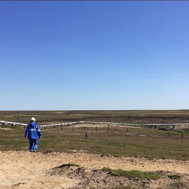 Ярослав Александров Олегович | Санкт-Петербург