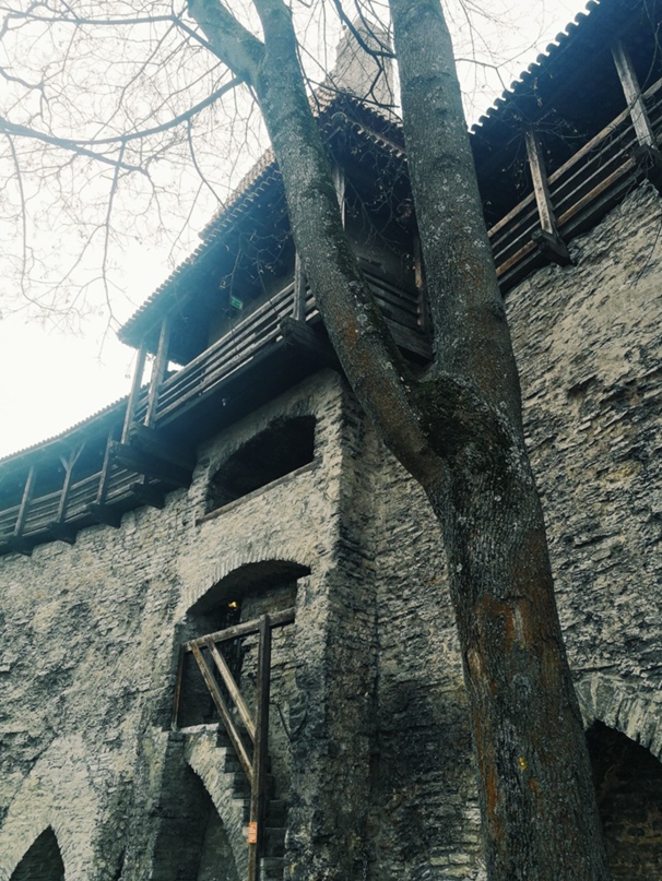 Маргарита Устинова | Москва