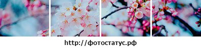 Жанна Спиридонова | Череповец