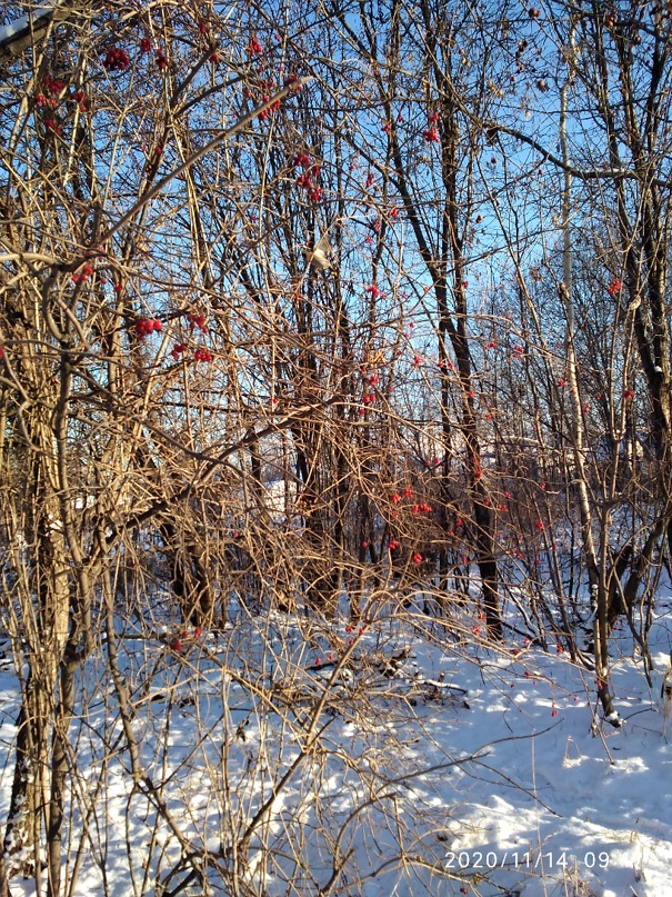 Ольга Гырдымова | Зуевка