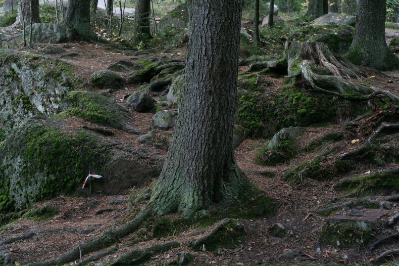Оксана Ионова | Москва