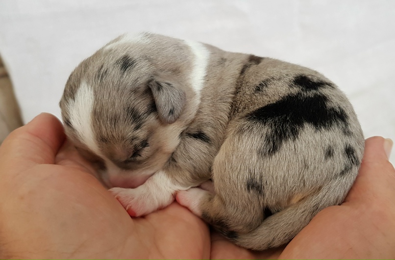 Алевтина Кузнецова | Москва