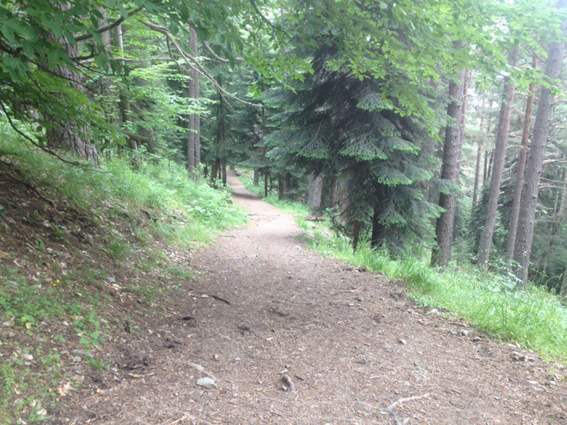 Андрей Маринин | Ростов-на-Дону