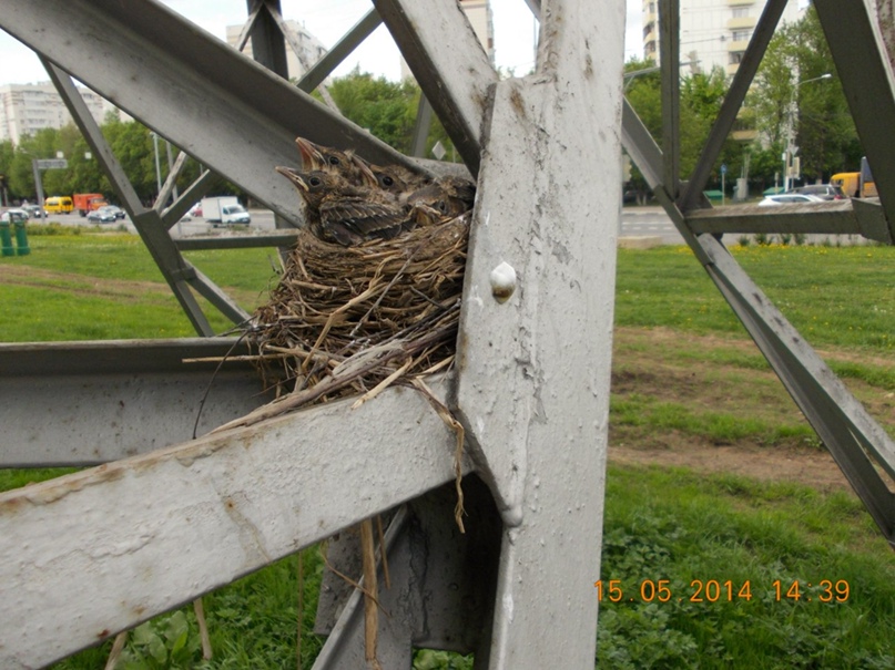 Евгений Мясоедов | Серпухов