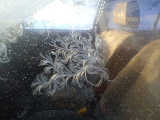 Ренат Янбаев | Санкт-Петербург