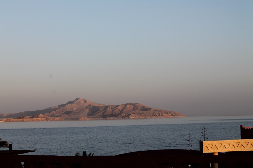 Андрей Сарычев | Рязань