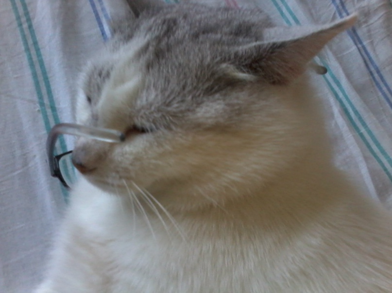 Юлия Володина |