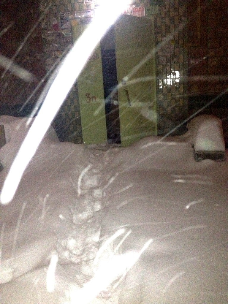 Елена Репешко | Киев