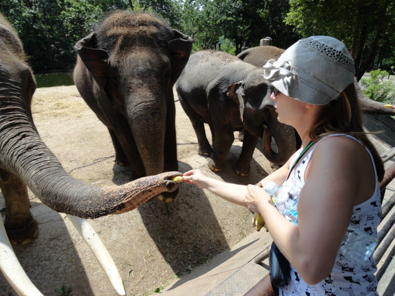 Анастасия Коченова | Новосибирск
