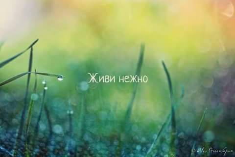 Алексей Тихий | Москва