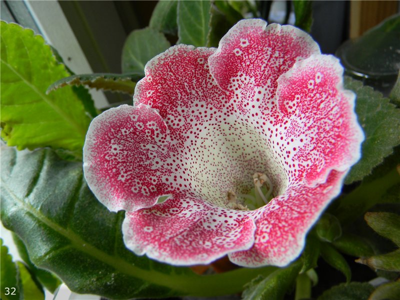 Мария Миляева | Москва