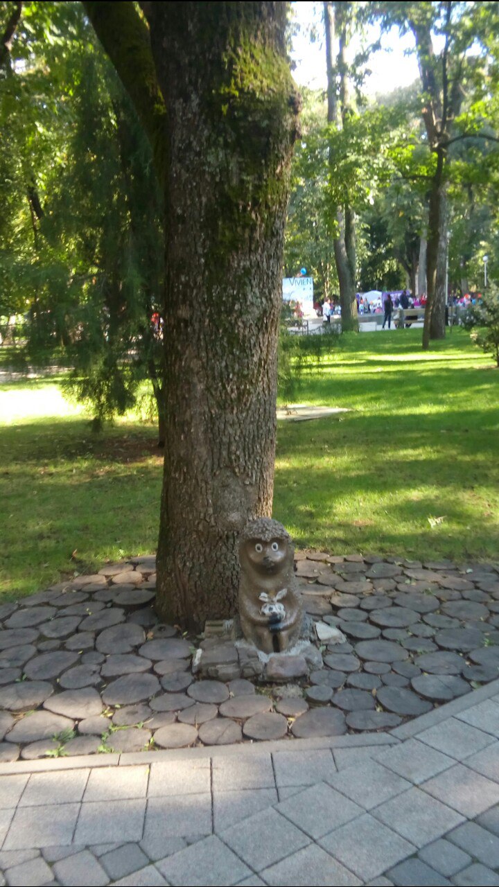 Юлия Весна | Томск