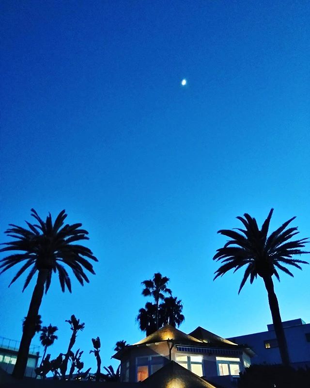 Данил Максимов |