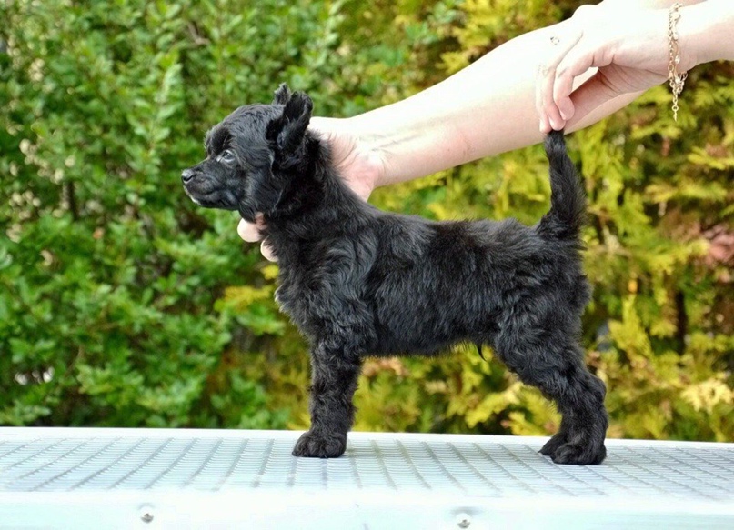 Ирина Шилова Александровна | Пермь