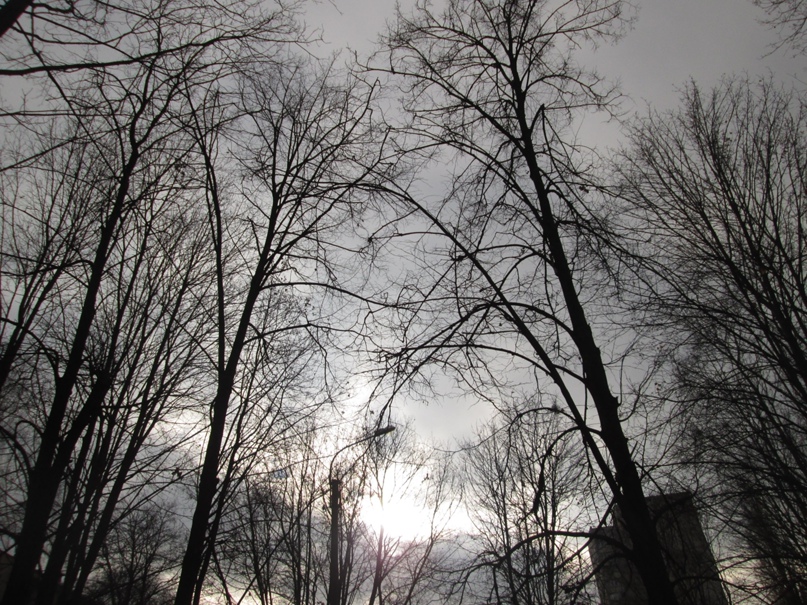 Елена Еремина | Керчь