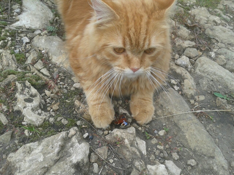 Наталья Ульянова | Москва