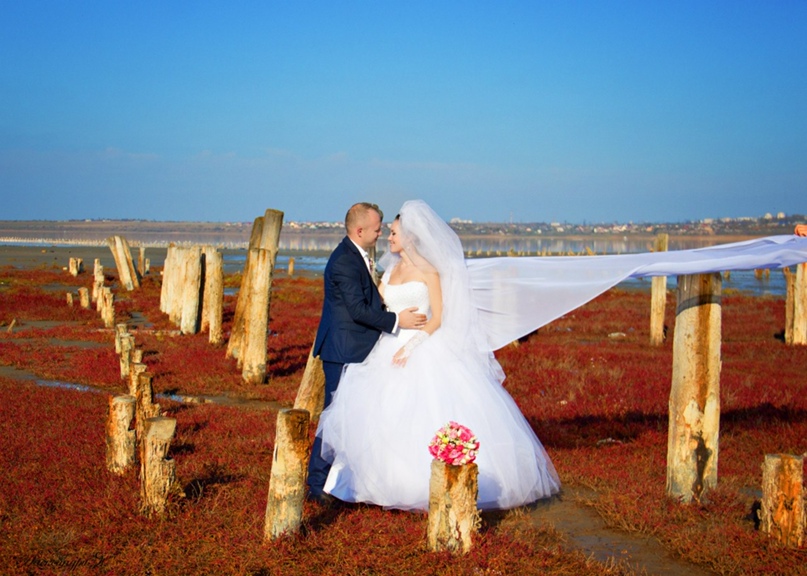 Яна Савко | Одесса