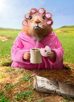 Оля Носова | Adelaide