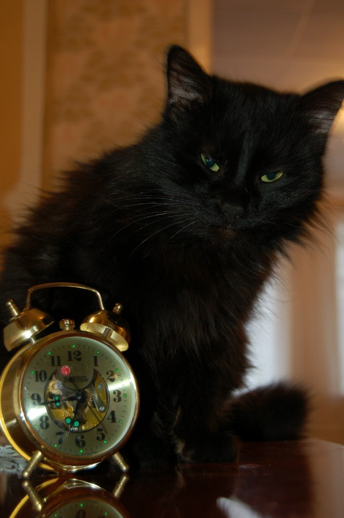 Татьяна Зубова | Ростов-на-Дону