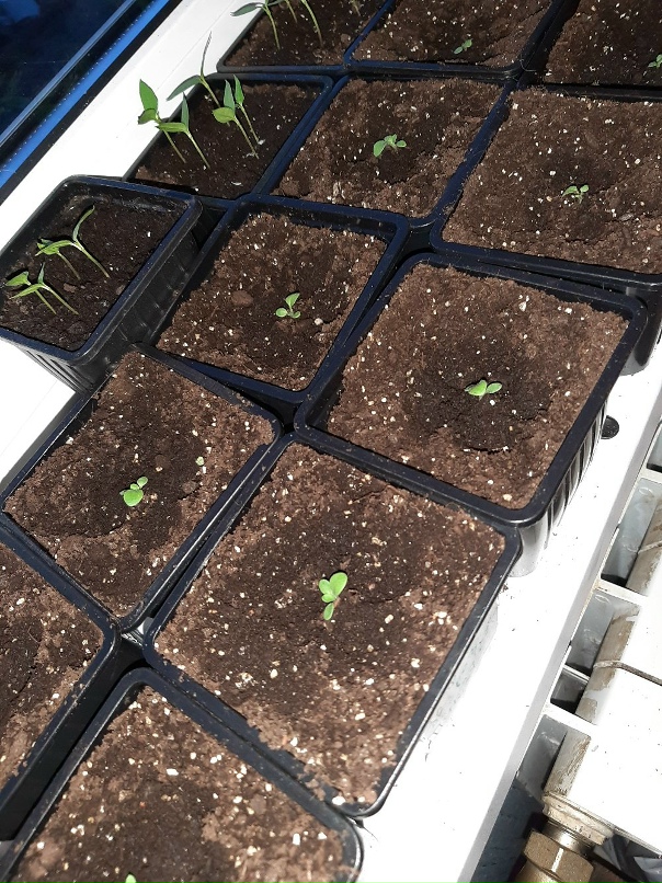 Марина Митрофанова | Санкт-Петербург