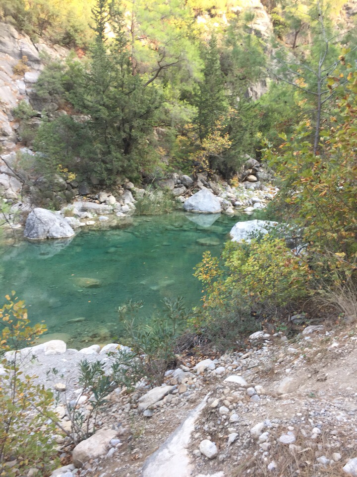 Наталья Донцова | Москва