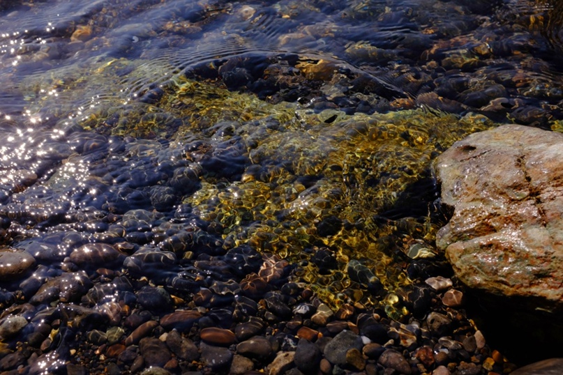 Арсений Козлов | Москва