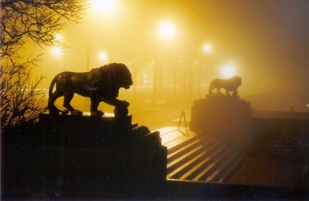 Лена Зотова | Гатчина