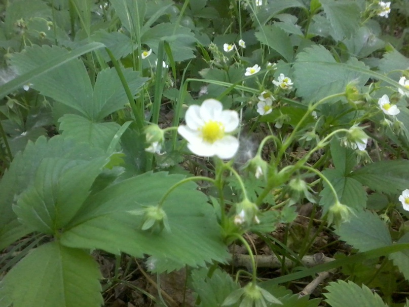 Марина Погодина | Москва