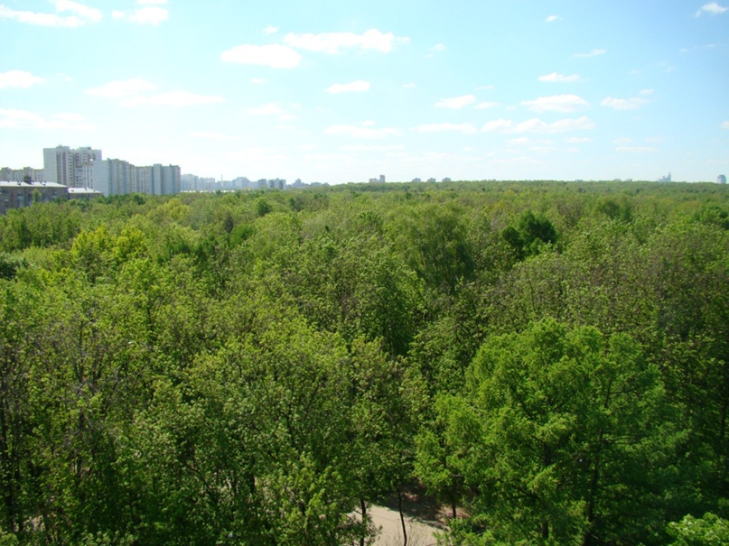 Константин Кравченко RONIN8305 | Москва