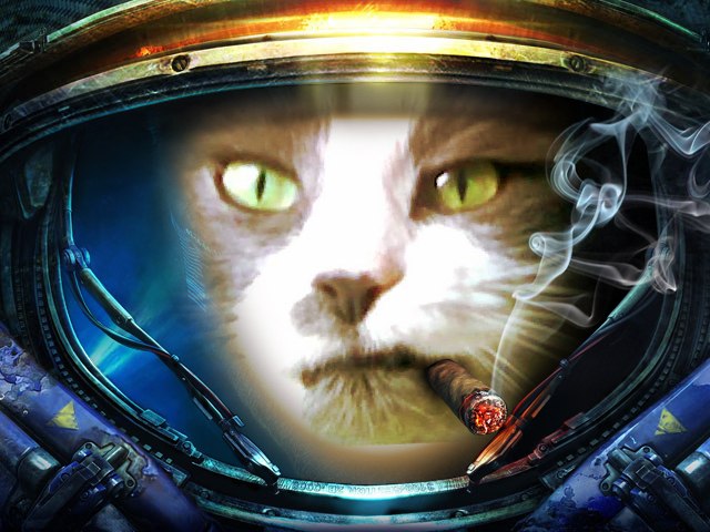 Марина Мусатова Musatik | Кишинев