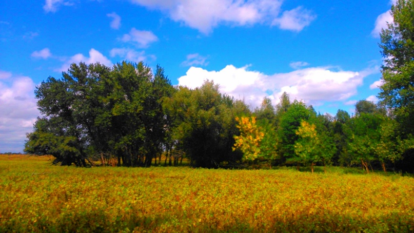 Виктория Селезнёва | Астрахань