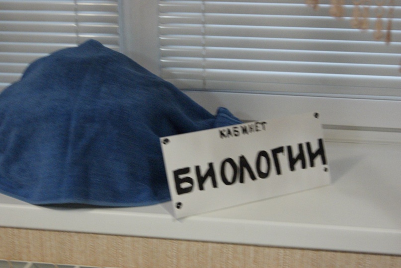 Галина Шумилова | Красноярск