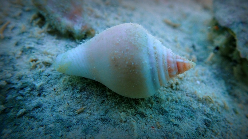 Андрей Савин | Москва