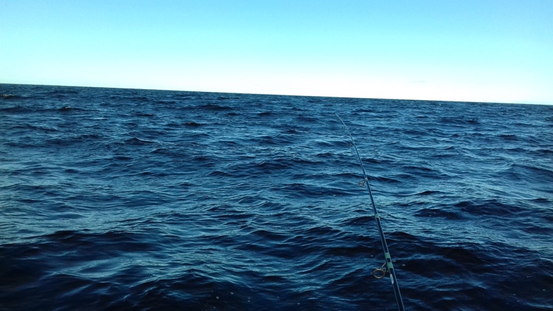 Владимир Ситникевич | Красногорск