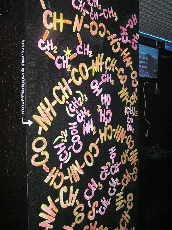 Ирина Агафонова | Санкт-Петербург