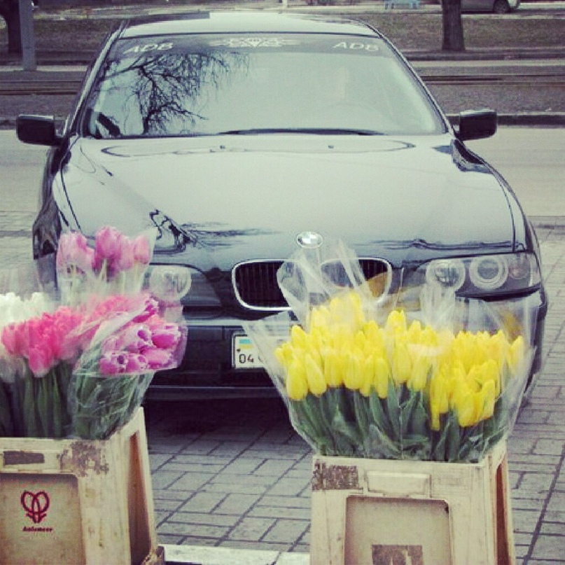 Виктория Акимова | Пенза