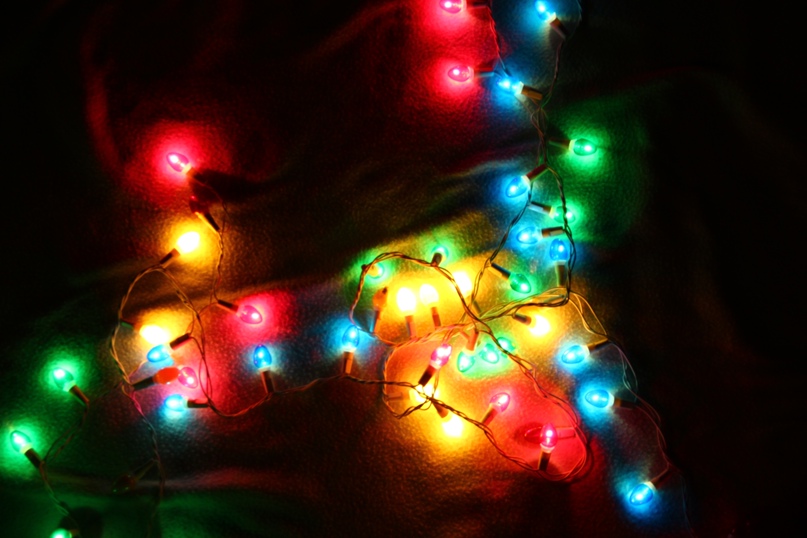 Яна Александрова | Петрозаводск