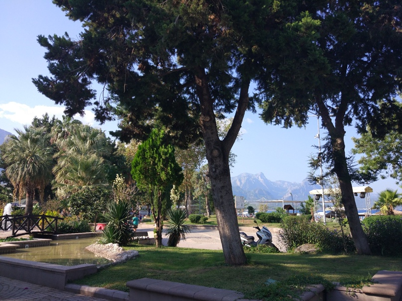 Валерия Жаркова | Санкт-Петербург