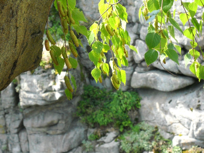 Яна Федорова | Черкассы