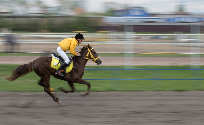 Михаил Пашков | Москва