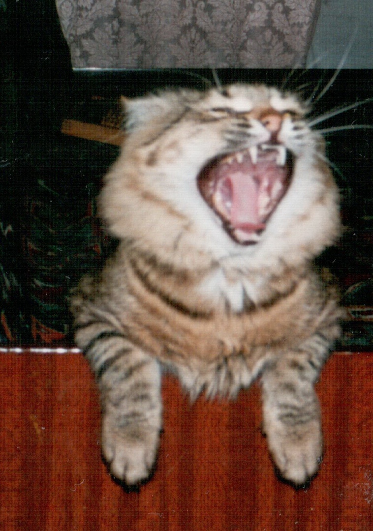 Павел Емелин | Казань