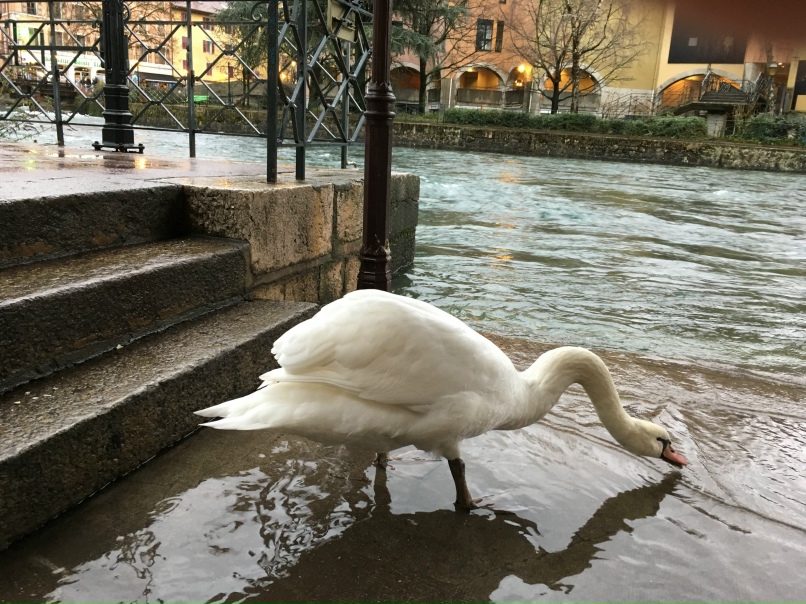 Полина Волкова | Обнинск