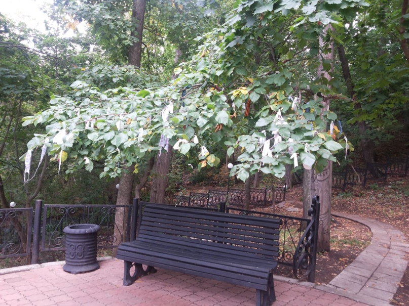 Антон Трофимов Eridani | Москва