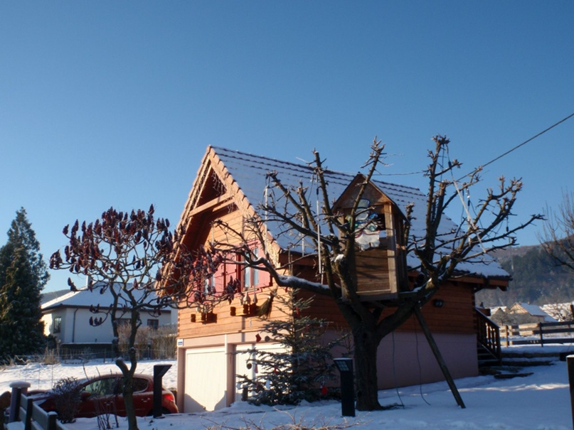 Alina Smirnova | Запорожье