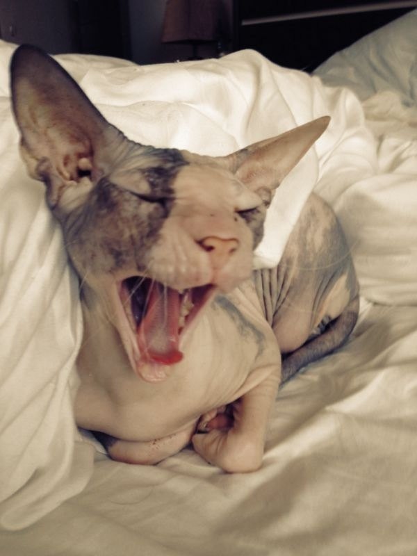 Вероника Абрамова | Москва