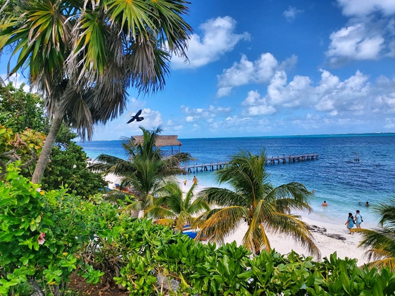 Иван Балабанов | Москва