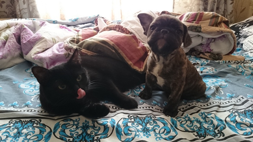 Юлия Тимошина | Москва