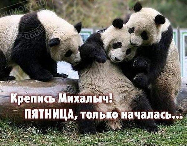 Антон Потёмкин | Санкт-Петербург